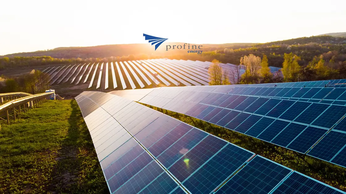 profine Energy