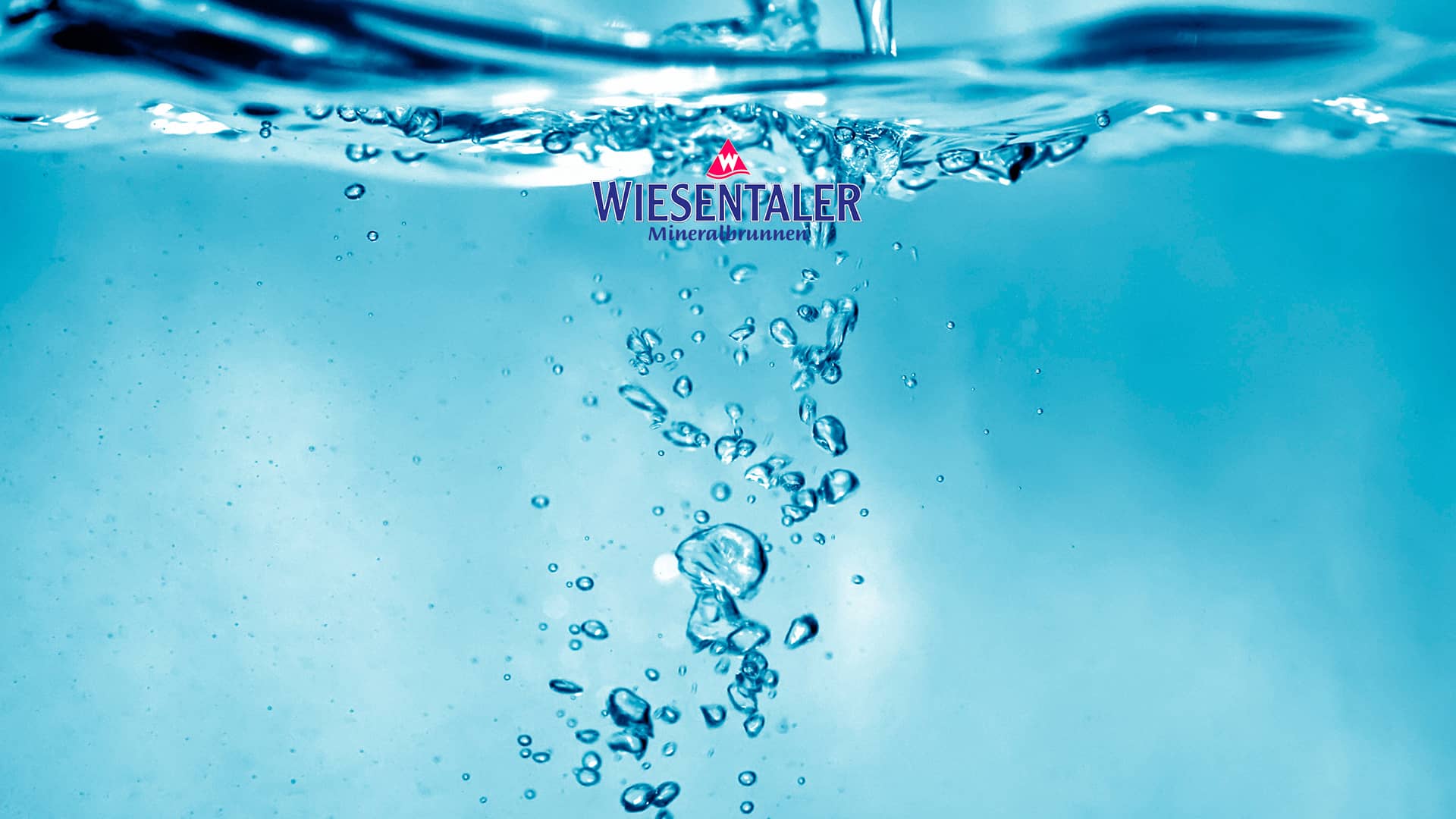 Immobilien • Energie • Investment WIRTH GRUPPE